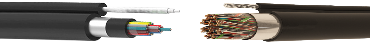 PD-AP-A-A-2Y(L)2Y